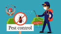 Pest Control Norman Park image 1