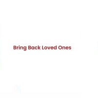 Bring Back Loved Ones image 1