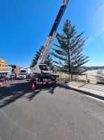 HiLine Cranes Sydney image 4