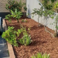 Reticulation & Landscaping Expert image 2