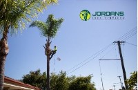 Jordans Tree Services image 4