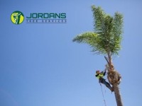 Jordans Tree Services image 3