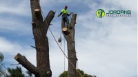 Jordans Tree Services image 2