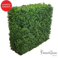 Forever Green Walls image 8