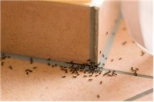 Coastline Pest Solutions image 2