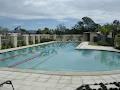 Precision Pools Queensland image 3