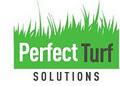 Perfect Turf image 1