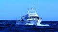 Avfish Charters image 2