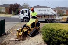  Arborists Melbourne - Eucalyptus Tree Services image 5