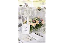 Ivy & Bleu - Wedding Planners, Decorators, Gold Coast image 3