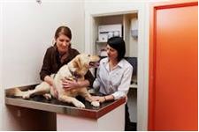 Glen Iris - Preventative Care, Surgeons, Veterinary Clinic image 1