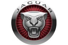 Lennock Jaguar image 2