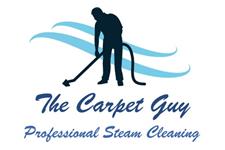 The Carpet Guy image 1