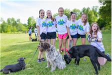 Paw Power - Dog Training Byron Bay image 3