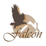 FALCON FINANCIAL SERVICES PTY LTD image 1