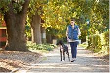 Glen Iris - Preventative Care, Surgeons, Veterinary Clinic image 3