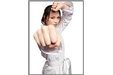 Professional Taekwondo - Anti Bullying Programs image 1