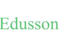 Edusson.com image 1