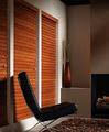 Kayton Blinds image 4