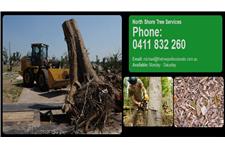 Tree Pruning Sydney image 2