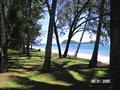 Oasis at Palm Cove image 2