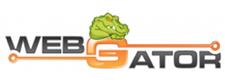 Webgator SEO Brisbane image 1