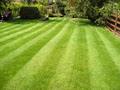 Pro Edge Mowing image 1