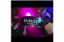 Ginger Night Club logo