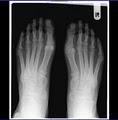 Erica Dash Podiatry image 1