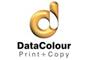 Datacolouronline logo