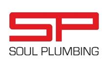 Soul Plumbing image 1