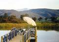 Wombat Hills Cottages image 2