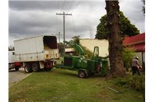 WA Tree works Pty Ltd image 2