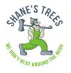 Shane's Trees image 1