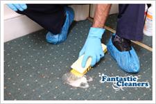 Fantastic Carpet Cleaners Sydney image 3