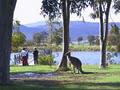 Wombat Hills Cottages image 1