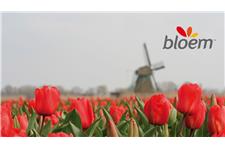 Bloem image 2