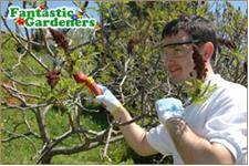 Fantastic Gardening Sydney image 10