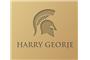 harrygeorjediamonds logo