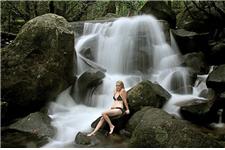 Daintree Cascades image 3