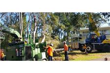 Kingdoms Tree Care image 5