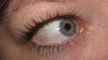 Lash ME Eyelash Extensions image 1