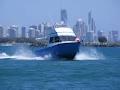 Gold Coast Deep Sea Fishing image 3