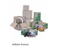 Adlam Transport image 6