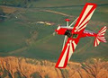 Adelaide Biplanes logo