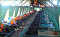 Agri-Labour Suppliers image 2