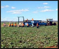 Agri-Labour Suppliers image 5
