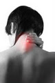 Back Pain Directory: Chiropractic, Physiotherapy, Osteopath, Melbourne, Sydney logo