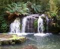 Barrington Tops National Park image 2