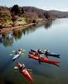 Bay and Beyond Sea Kayak Tours image 3